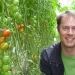 Organic Greenhouse Vegetable Market Faces Stagnant Demand and Production Challenges