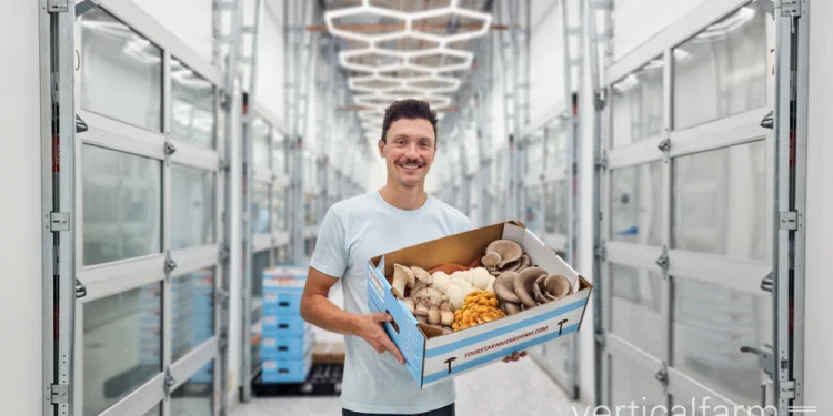 Abundance of Market Opportunities for Mushrooms in Chicago