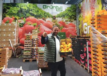 Atypical Seasonal Challenges Prompt Continued Imports from Spain