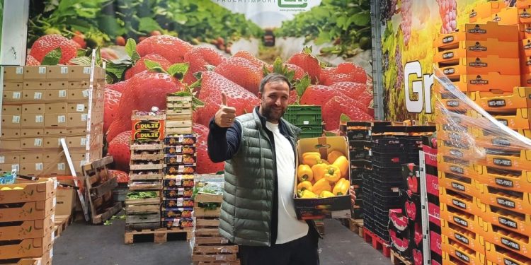 Atypical Seasonal Challenges Prompt Continued Imports from Spain