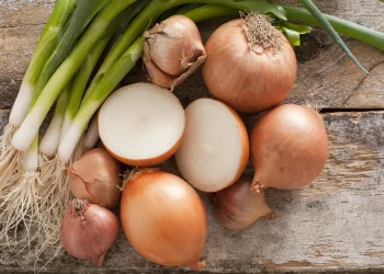 India’s Onion Procurement from Maharashtra to Reach Rs 15 Billion