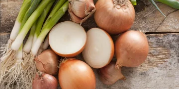 India’s Onion Procurement from Maharashtra to Reach Rs 15 Billion