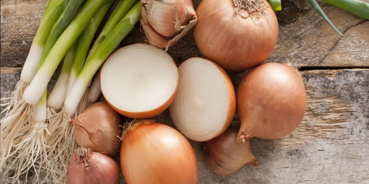 India’s Onion Procurement from Maharashtra to Reach Rs 15 Billion