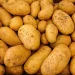 Bangladesh’s Shift from Potato Exporter to Importer: Understanding the New Agricultural Dynamics