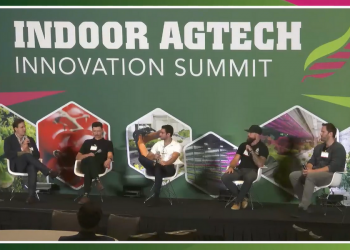 Exploring Mushrooms as an Emerging Sector for Controlled Environment Agriculture (CEA)