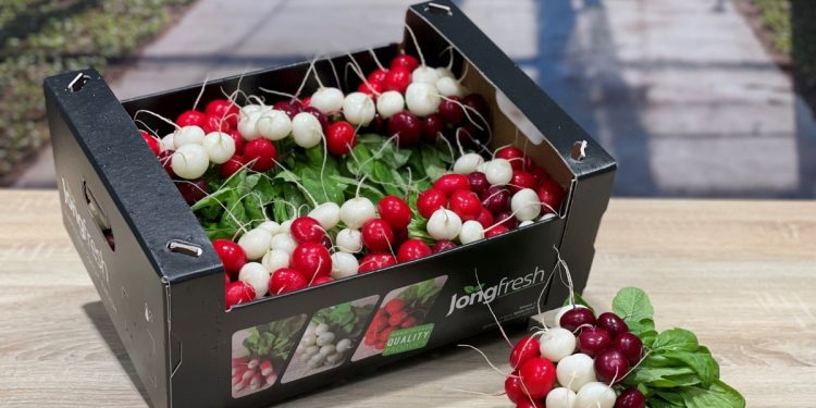 Graffiti Radish: A Small Innovation with Big Potential