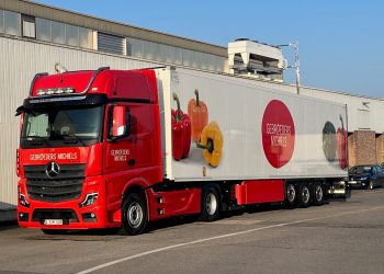 Tomato Market Forecast: Expect a Calm Period Until Mid-August