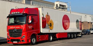 Tomato Market Forecast: Expect a Calm Period Until Mid-August