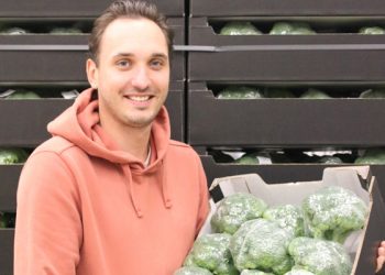 Market Update: Broccoli Scarcity and Cauliflower Availability Shifts