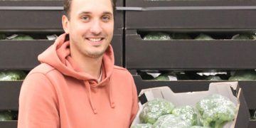 Market Update: Broccoli Scarcity and Cauliflower Availability Shifts