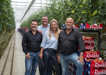 Market Update: Cucumber Prices Hold Steady, Pepper Market Shows Stability Amid Increased Supply