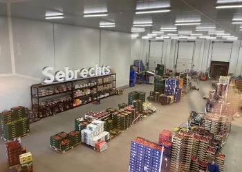 Impact of Adverse Weather on Open Ground Vegetable Prices in Belgium