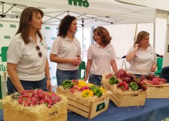 Semillas Fitó Successfully Concludes Murcia’s Pepper Campaign