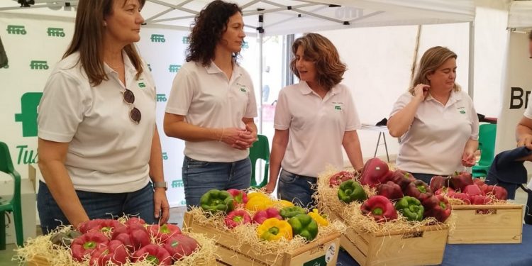 Semillas Fitó Successfully Concludes Murcia’s Pepper Campaign