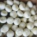 Egyptian Garlic Prices Surge, Maintaining Competitive Edge Amidst Global Shortage