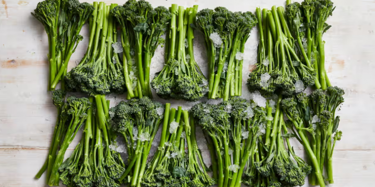 Broccolini: The Emergence and Success of a Modern Vegetable