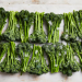 Broccolini: The Emergence and Success of a Modern Vegetable