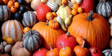 New Zealand Pumpkin Prices Drop as Supply Recovers