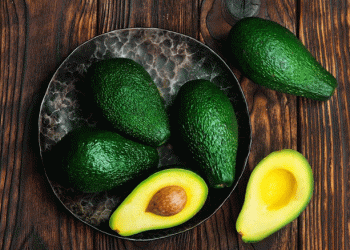 Bright Prospects for New Zealand’s Avocado Export Season: Quality and Sustainability in Focus