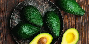 Bright Prospects for New Zealand’s Avocado Export Season: Quality and Sustainability in Focus