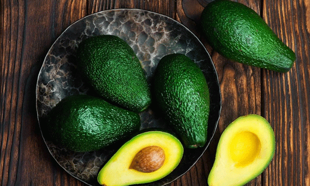 Bright Prospects for New Zealand’s Avocado Export Season: Quality and Sustainability in Focus