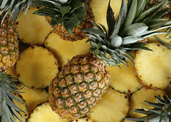 Peru’s Pineapple Exports Surge in Q2 2024: A Booming Market with Expanding Global Reach