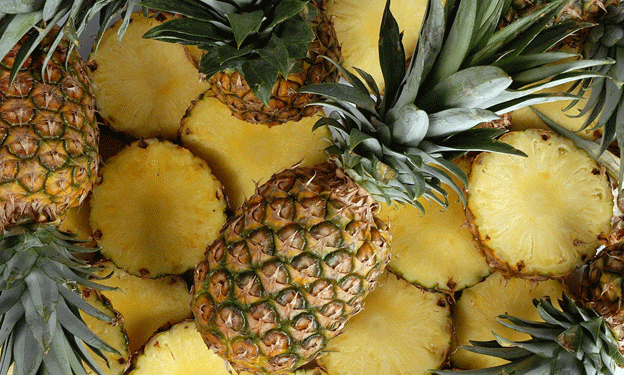 Peru’s Pineapple Exports Surge in Q2 2024: A Booming Market with Expanding Global Reach