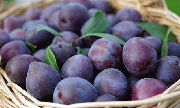Challenges and Opportunities in the Plum and Mirabelle Fruit Market: An In-Depth Analysis