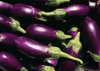 Belgium’s Organic Sector: Spending Rises, But Production Faces Challenges