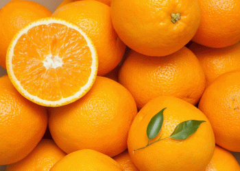 Weather Woes in South Africa: Navel Orange Exports Plunge by Nearly 20%