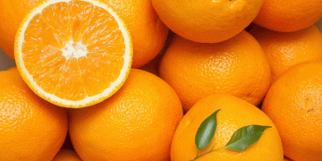 Weather Woes in South Africa: Navel Orange Exports Plunge by Nearly 20%