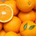 Weather Woes in South Africa: Navel Orange Exports Plunge by Nearly 20%
