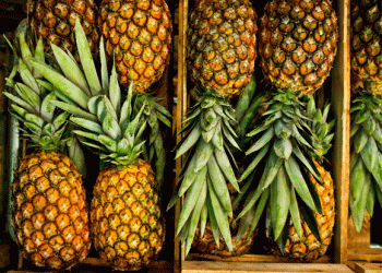 Summer Surge: Rheinland-Pfalz Sees 741% Increase in Tropical Fruit Imports Over a Decade