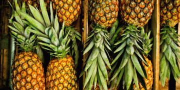 Summer Surge: Rheinland-Pfalz Sees 741% Increase in Tropical Fruit Imports Over a Decade