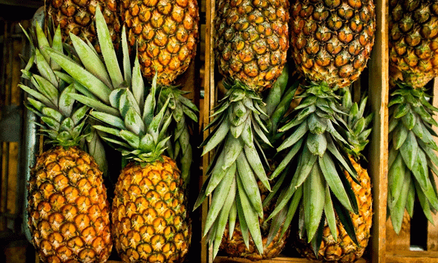 Summer Surge: Rheinland-Pfalz Sees 741% Increase in Tropical Fruit Imports Over a Decade