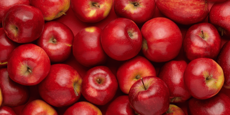 Record Prices Set the Stage for Poland’s Apple Season: What Farmers Need to Know