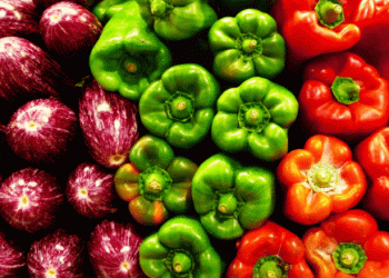 The Price Gap Puzzle: How Spanish Green Peppers and Watermelons Saw 514% and 315% Markup in July