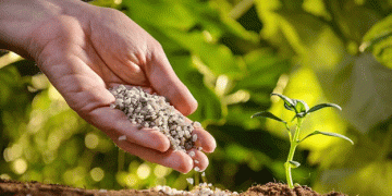 Russian Fertilizer Industry: A 14.2% Growth Surge Powers Agricultural Success in 2024