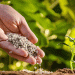 Russian Fertilizer Industry: A 14.2% Growth Surge Powers Agricultural Success in 2024