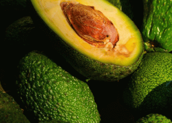 Peruvian Avocado Exports: Declining Volume, Rising Value