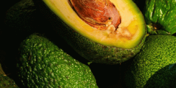 Peruvian Avocado Exports: Declining Volume, Rising Value
