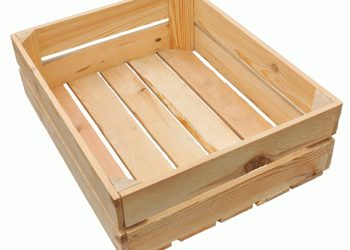 Wooden Packaging Proven to Be the Most Sustainable Option: A Detailed Analysis by FEDEMCO