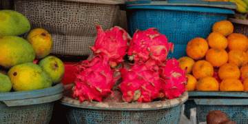 Turkey’s Agricultural Sector Shifts to Tropical Fruit Production: A Growing Opportunity