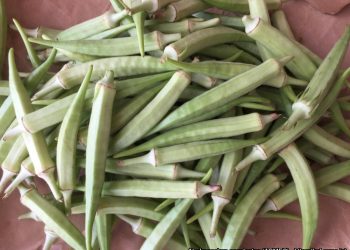 Okra: a valuable vegetable