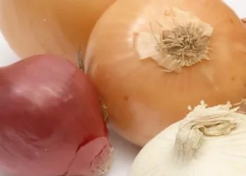 USDA Redistricts and Reapportions South Texas Onion Marketing Order