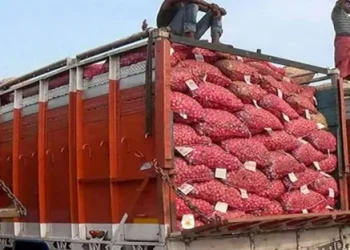 Resumption of Onion Exports from India to Bangladesh Amidst Cautious Optimism