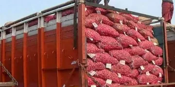 Resumption of Onion Exports from India to Bangladesh Amidst Cautious Optimism