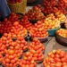 Enhancing Tomato Production in Edo State: A Strategic Move Towards Food Security