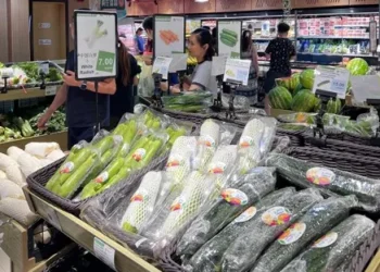 New Air Transport Option Facilitates the Export of Cool-Season Vegetables to Dubai