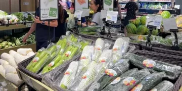 New Air Transport Option Facilitates the Export of Cool-Season Vegetables to Dubai